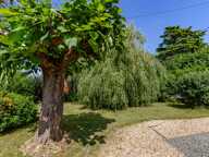 Maison 114 m2 à vendre 5 pièces BERGERAC (24) — photo 4