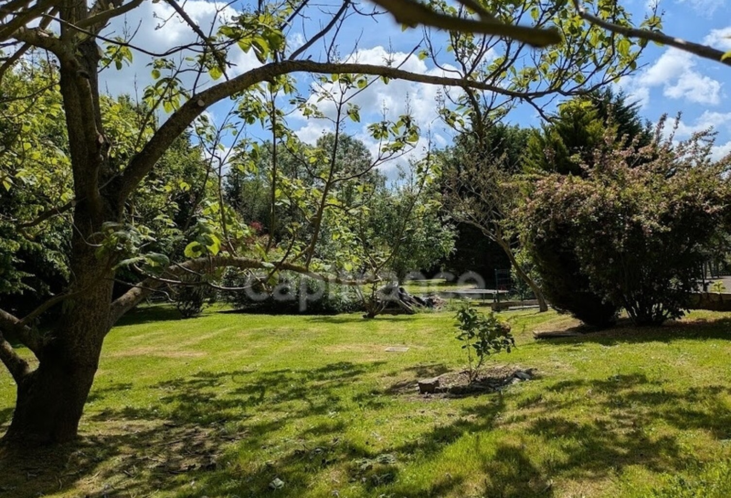 Maison familiale de 115 m² – 4 chambres – Sous-sol complet – Terrain arboré de 3 357 m² – Secteur AUMALE (76) — photo 1