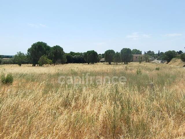 Terrain à vendre  SERNHAC (30) — photo du bien