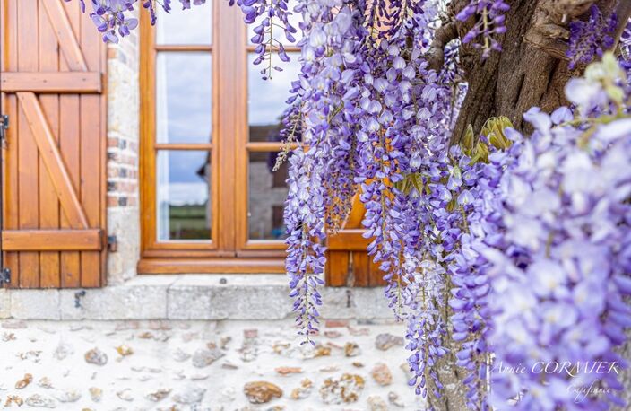 Propriété d'Agrément à vendre, Gîtes, Chambre d’hôtes — photo 4