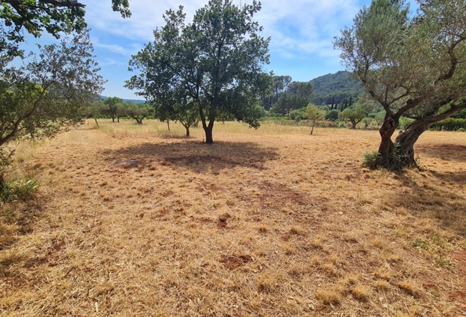 Terrain à vendre  CUERS (83) — photo 1