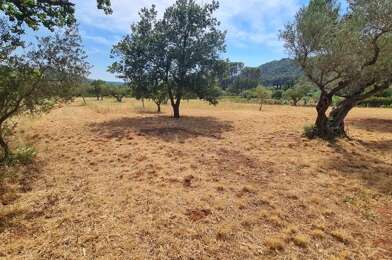Terrain  315000 €