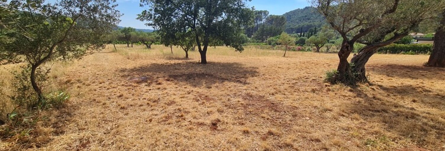 Terrain  3625 m² à vendre à Cuers (83390)