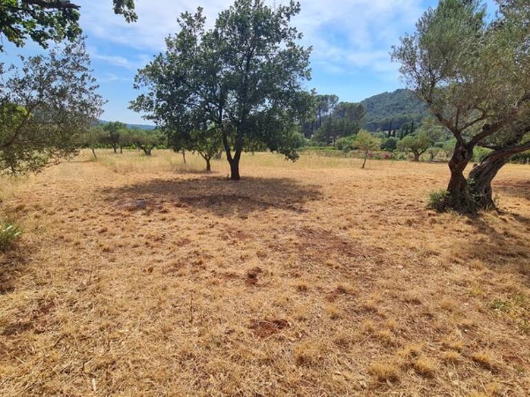 Terrain à vendre  CUERS (83) — photo 1