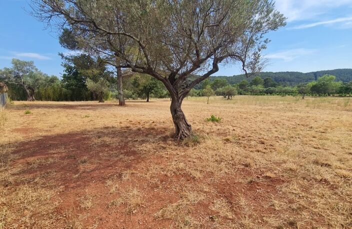 Terrain à vendre  CUERS (83) — photo 2