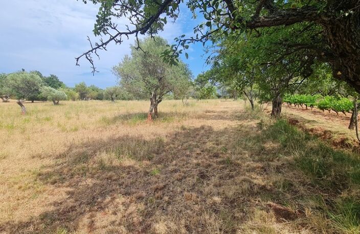 Terrain à vendre  CUERS (83) — photo 4