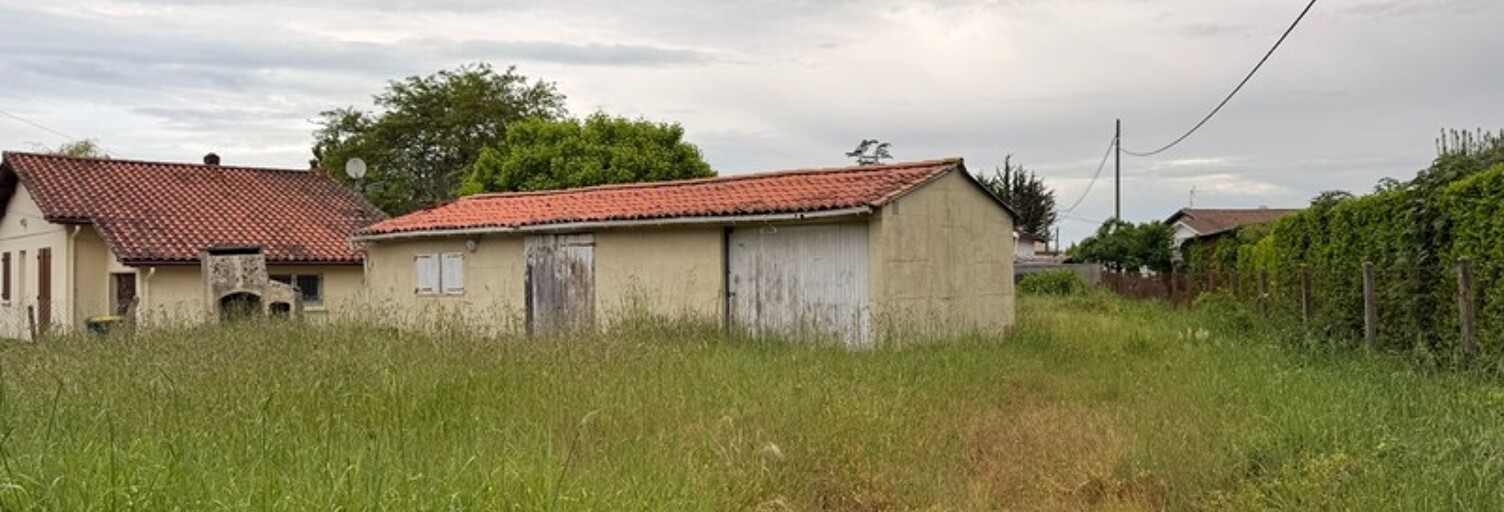 Photo N° 2