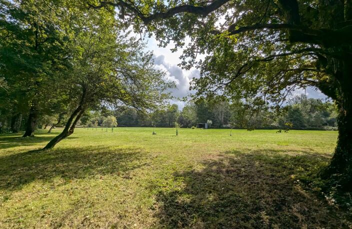Maison surelever avec étang et 2,9 hectares — photo 4