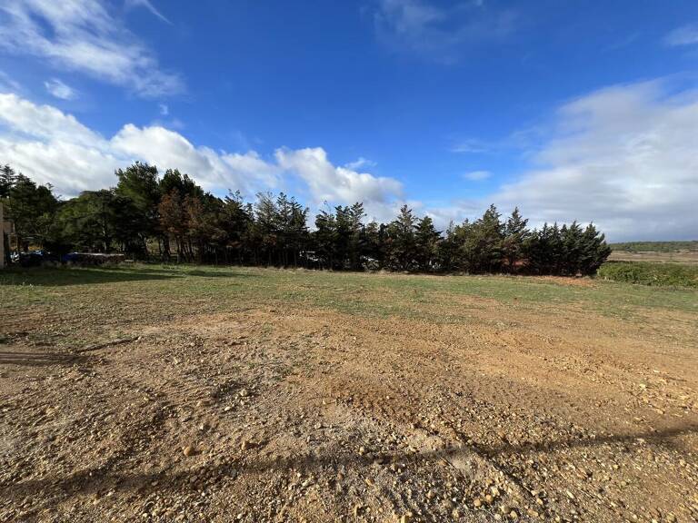 Terrain — photo 1