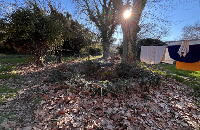 Propriete de 1150m2 — photo 3
