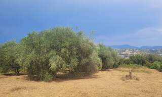Terrain 856 m² à construire Saint-Laurent-du-Var (06700)
