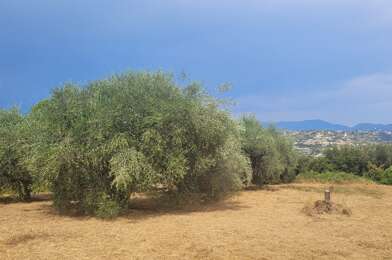 Terrain  399000 €