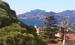 Appartement 1 Pièce 10 m² à louer à Cannes (06150)