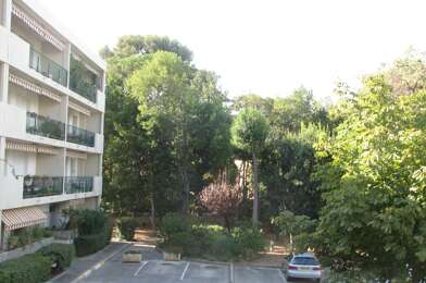 Appartement 3 pièces 1020 €