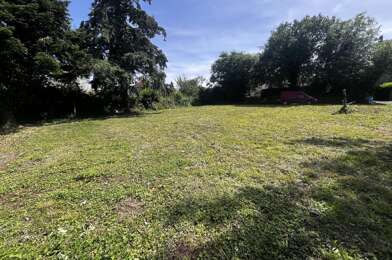 Terrain  19500 €