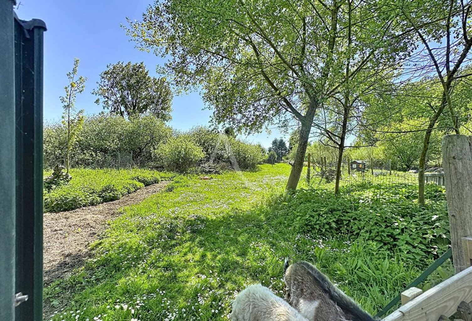 Terrain de loisir marais de guînes — photo 1