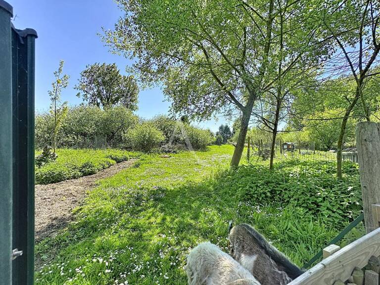 Terrain de loisir marais de guînes — photo 1