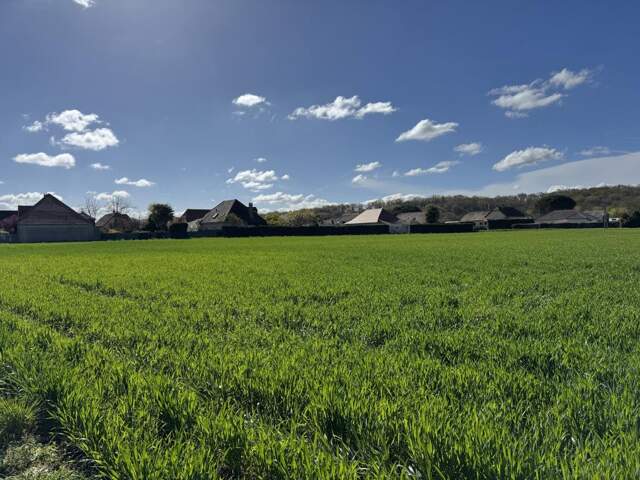 Terrain à bâtir — photo du bien