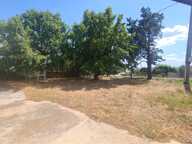 APPARTEMENT AVEC JARDIN — photo 3