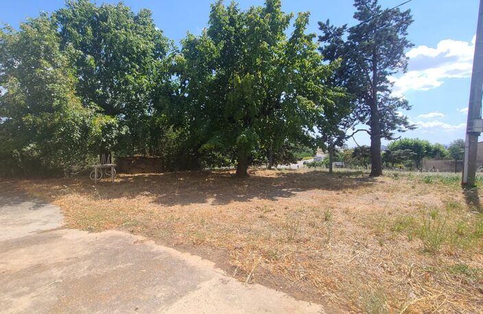 APPARTEMENT AVEC JARDIN — photo 3