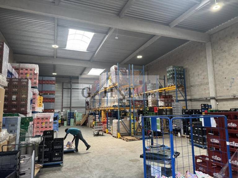 A LOUER ENTREPOT - BUREAUX 545M² — photo 1