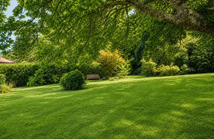 Ensemble immobilier - 3 maisons mitoyennes - Labastide-Rouairoux — photo 5
