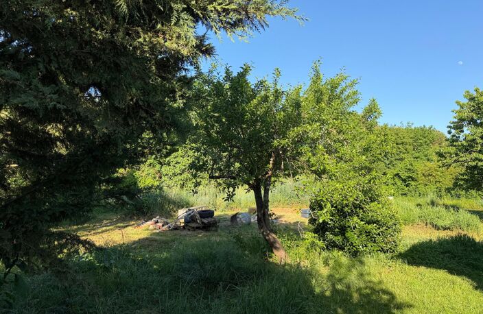 Belle maison familiale dans le secteur prisé de Capou à Montauban — photo 5