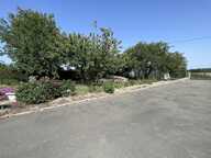 En campagne — photo 2