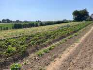 En campagne — photo 3