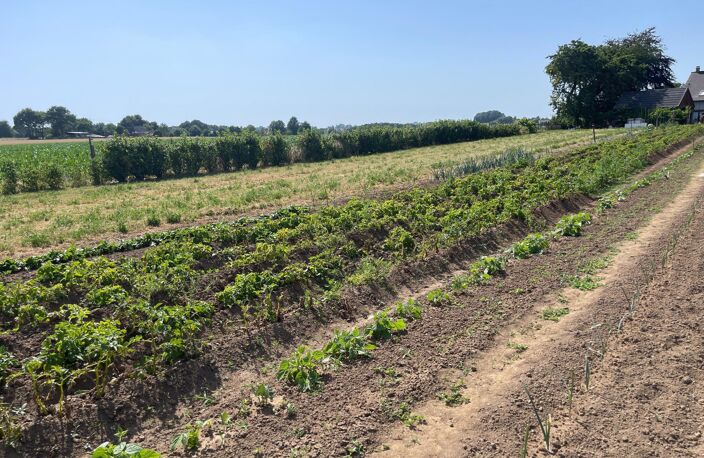 En campagne — photo 3