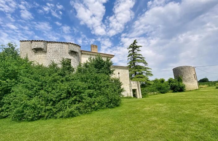 Ancien château de 7 pièces de 400 m² à Saint-Savinien — photo 2