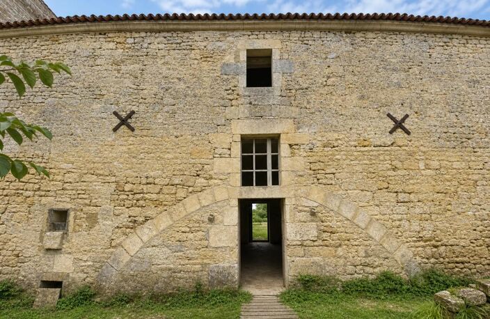 Ancien château de 7 pièces de 400 m² à Saint-Savinien — photo 4