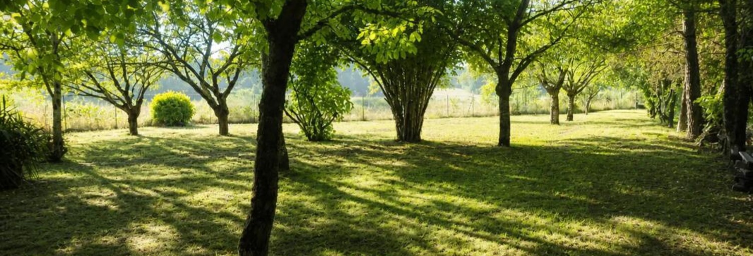 Maison 9 Pièces 200 m² à vendre à Linars (16730)