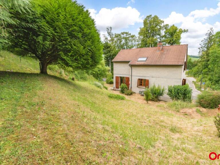 MAISON INDIVIDUELLE SUR COULOMMES LA MONTAGNE — photo 1