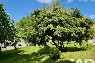 Terrain  179500 €