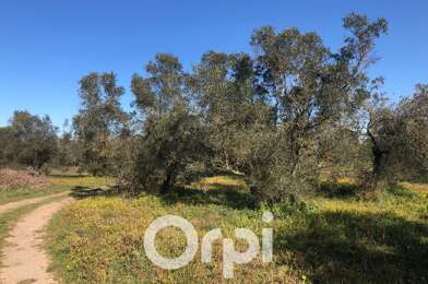 Terrain  40000 €