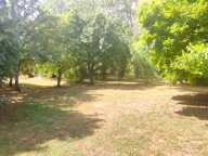 Vente Maison de campagne 6 pièces — photo 2