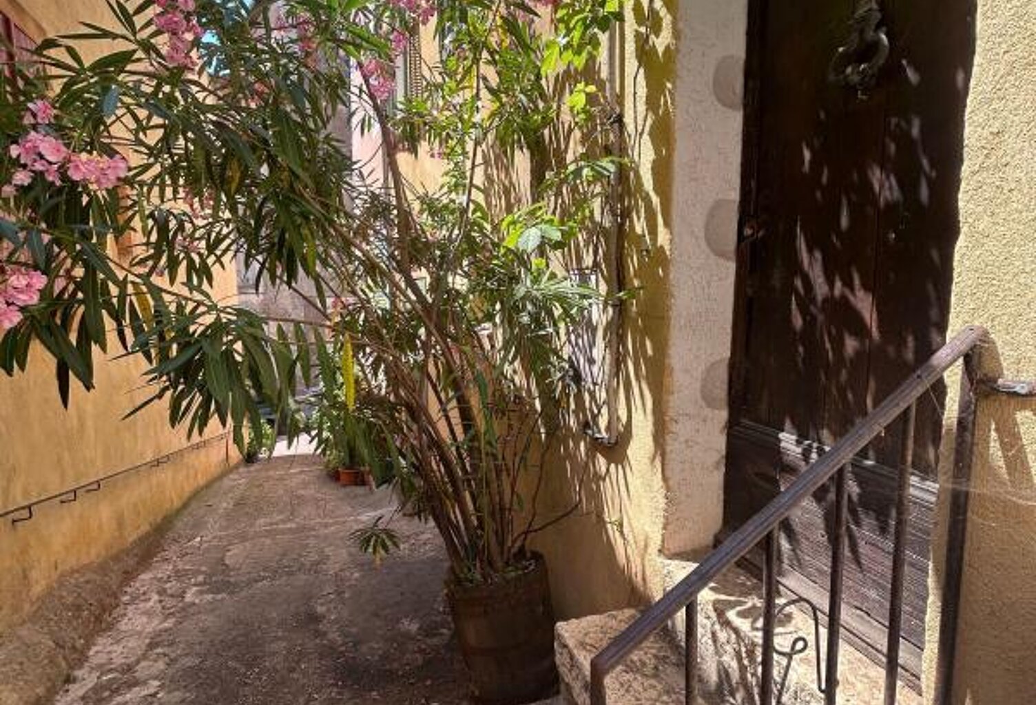 Maison T3 avec terrasse — photo 1