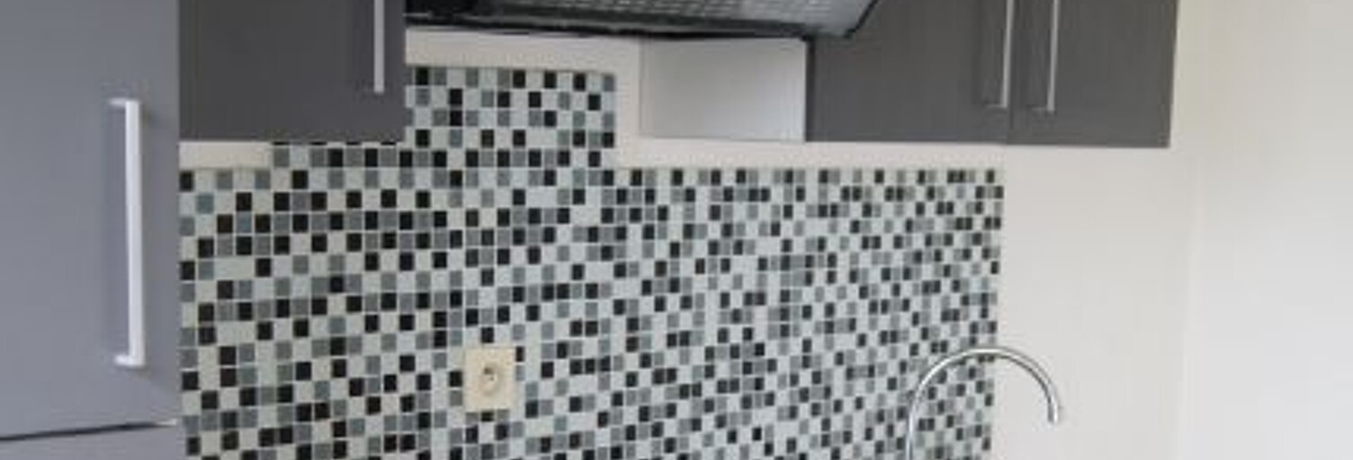 Appartement 1 Pièce 49 m² à louer à Lyon 8 (69008)