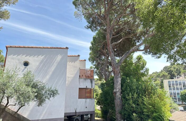 Appartement À Vendre Studio 34 m² terrasse et 2 parkings — photo 4