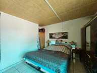 Maison de plain-pied 78m² avec grand terrain et deux garages — photo 4