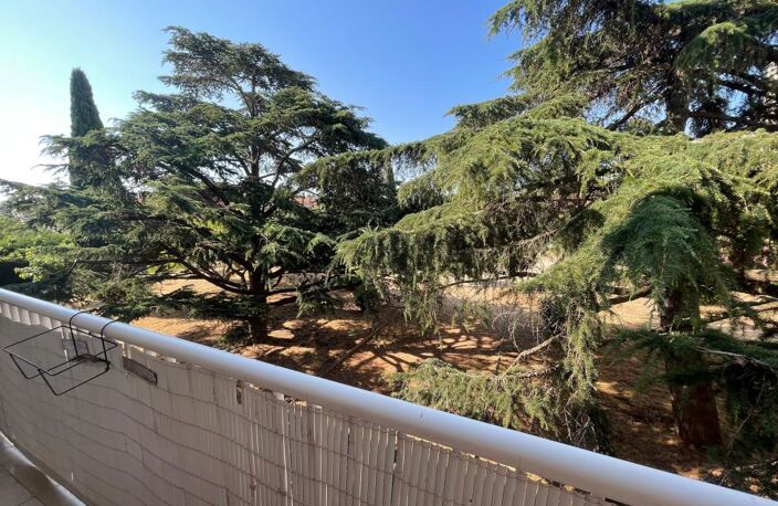 QUARTIER SUD PROCHE MAR-VIVO APPARTEMENT 3 PIECES VUE DEGAGEE — photo 3