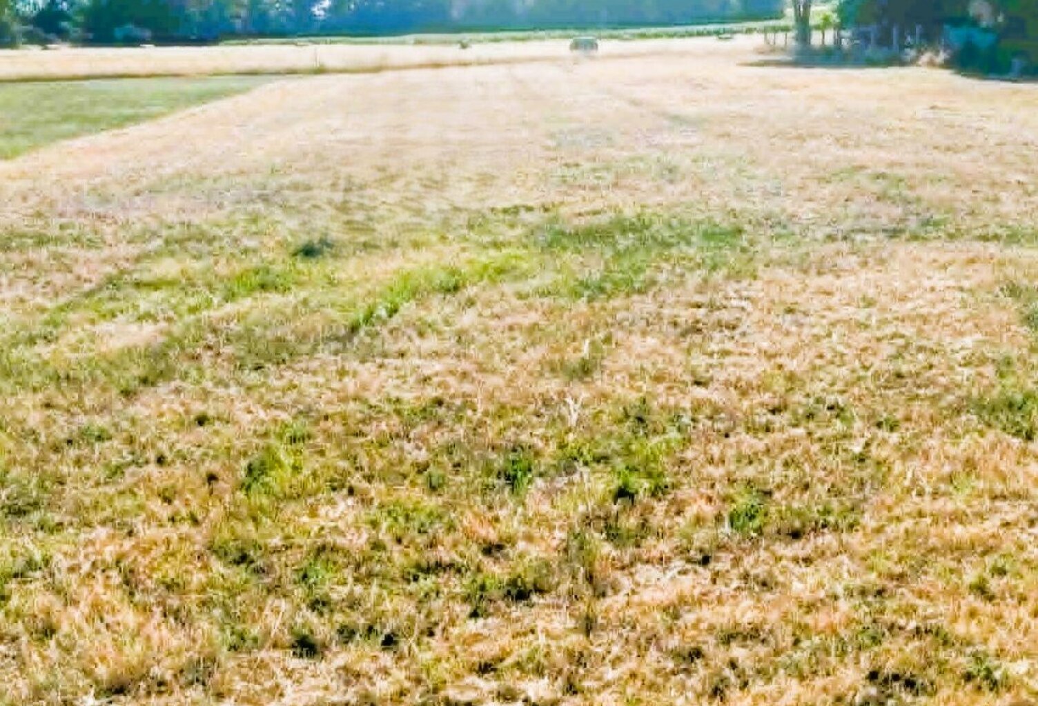 Terrain — photo 1