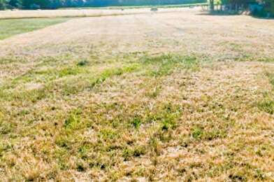 Terrain  50000 €