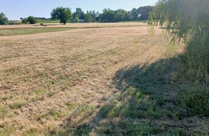 Terrain — photo 2
