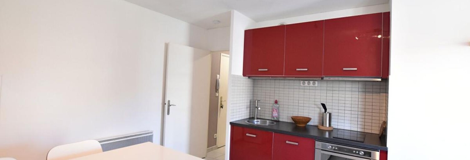 Appartement 1 Pièce 35 m² à louer à Meyzieu (69330)