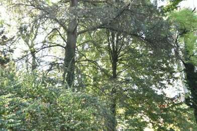 Maison 7 pièces 998000 €