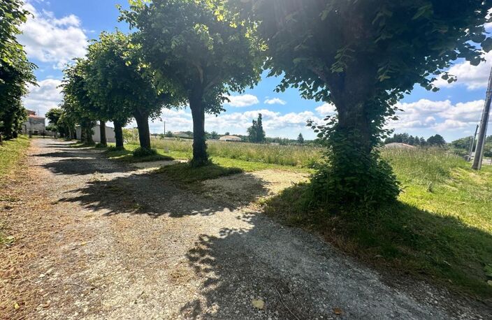 Terrain À Vendre — photo 3