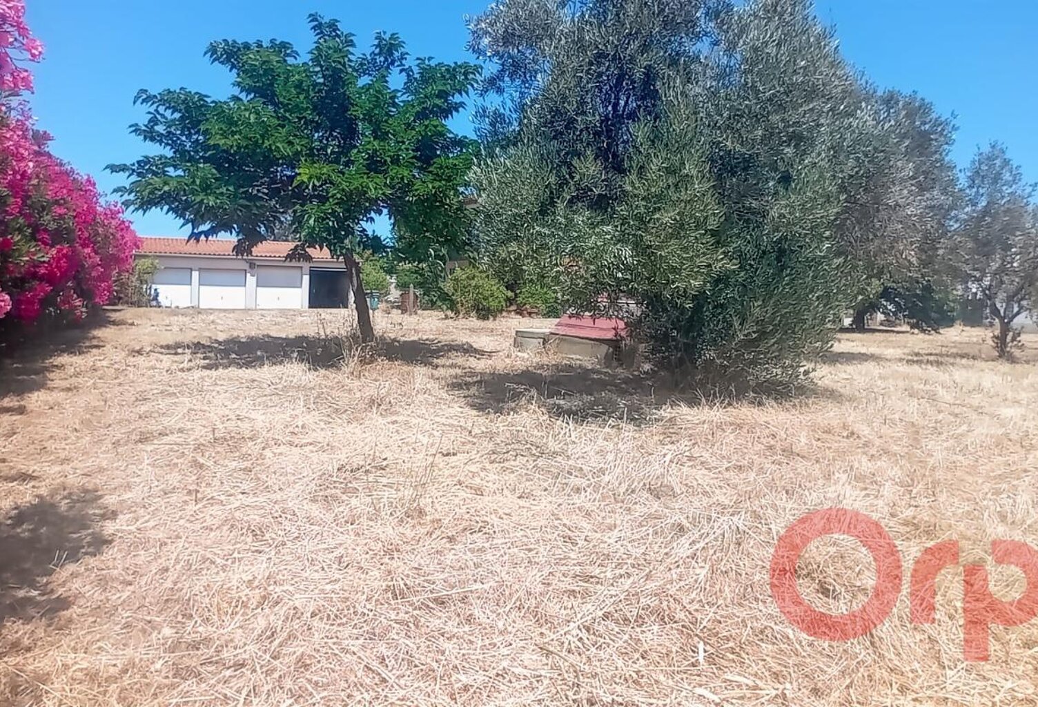 À Vendre : Terrain constructible dans un environnement privilégié à Sauvian — photo 1