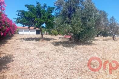 Terrain  123000 €